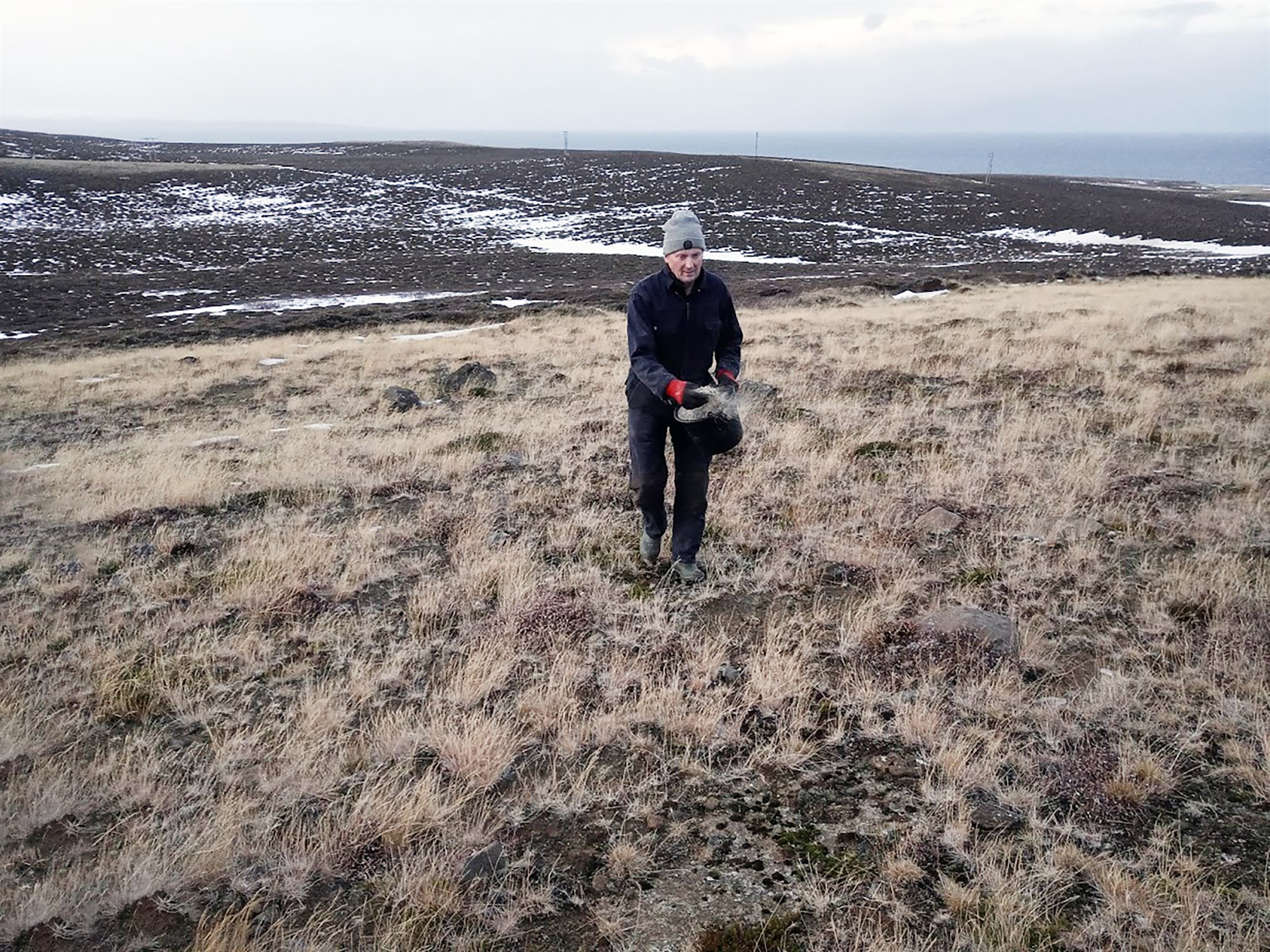 Fiskimykja til landgræðslu og skógræktar