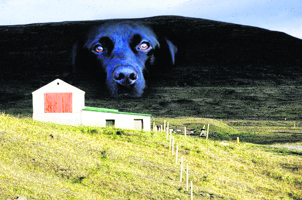 Munum í argaþrasi daganna að kíkja eftir hvert öðru