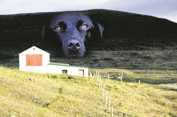 Winston Churchill líkti þunglyndi við svartan hund sem fylgdi sér. Þó þunglyndi sé erfiður og flókinn sjúkdómur eru batavonir góðar ef brugðist er við á réttan hátt.