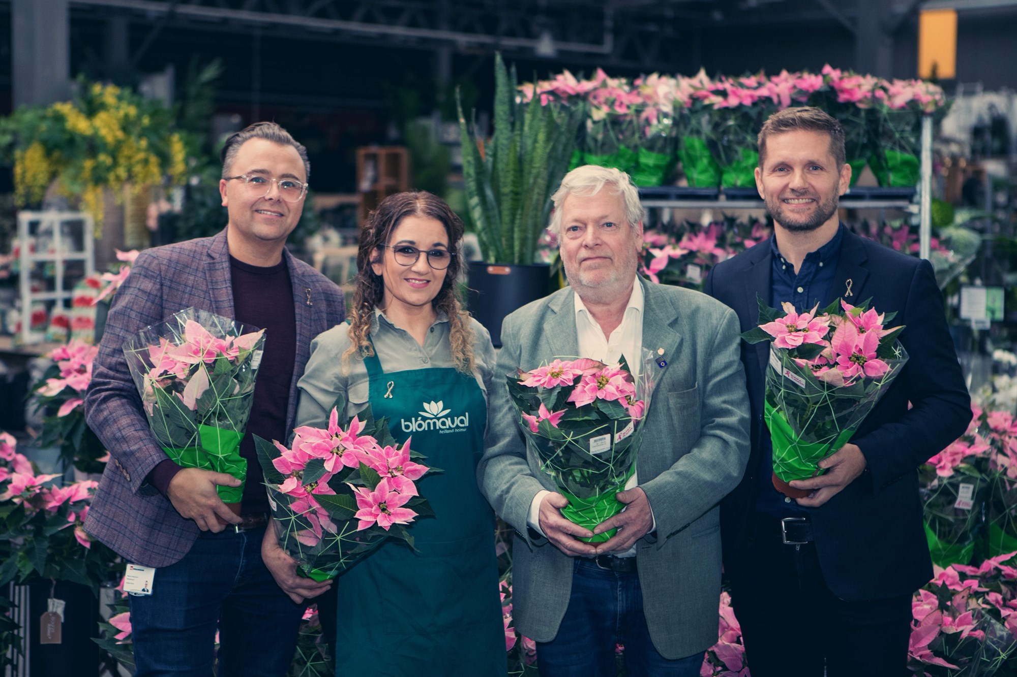 Bleik jólastjarna til styrktar Krabbameinsfélaginu