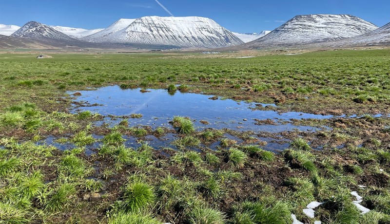 Hretið seinkar vorverkum