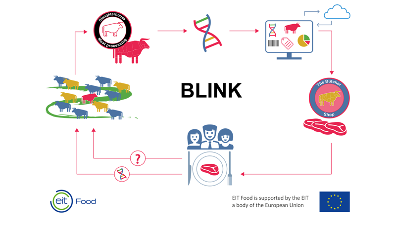 Matís þróar kerfi til að greina uppruna nautakjöts