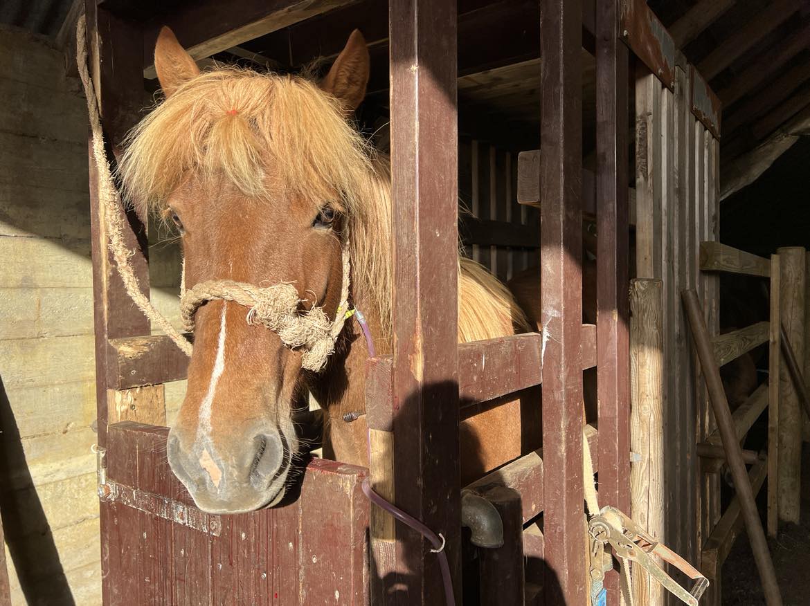 Deilt um túlkun á gildissviði regluverks