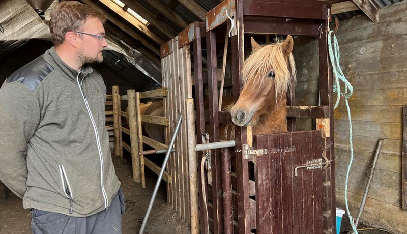 Lögreglan fellir niður blóðmerarannsókn