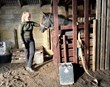 Leyfi til blóðtöku úr fylfullum hryssum umdeilt