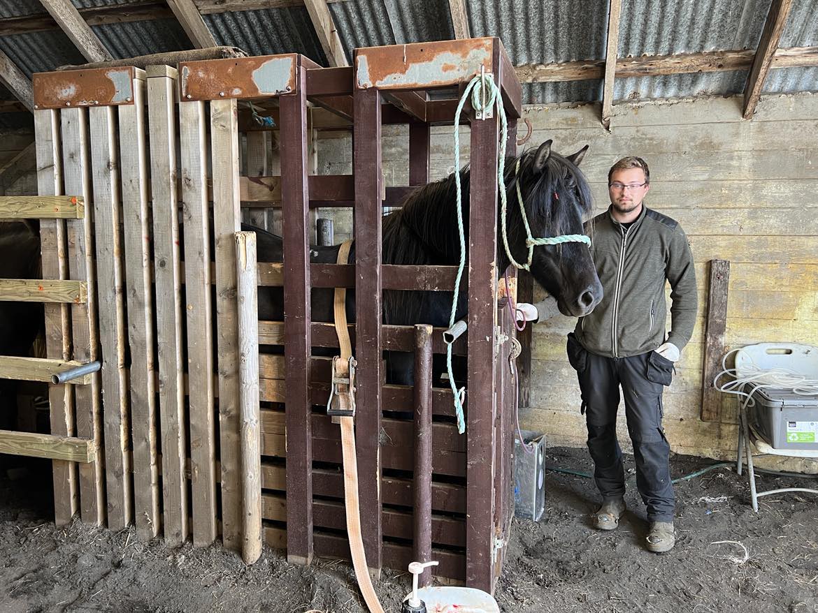 Um hundrað stóð í blóðtöku árið 2024