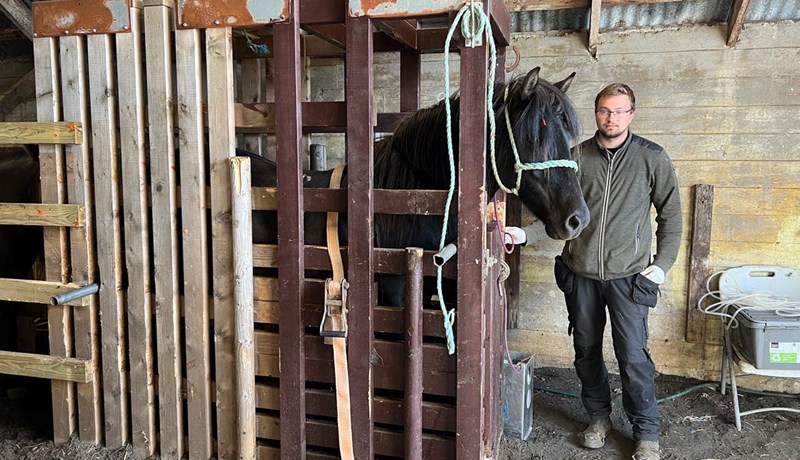 Um hundrað stóð í blóðtöku árið 2024