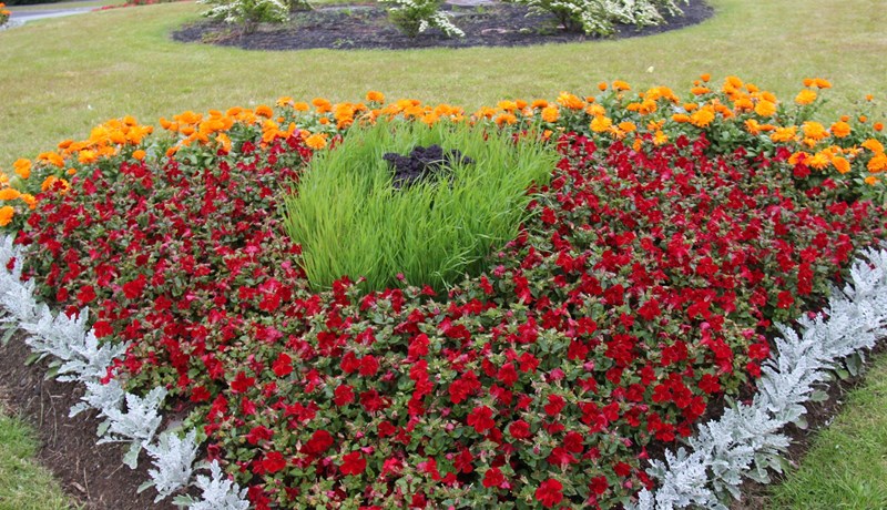 Sumar á næsta leiti