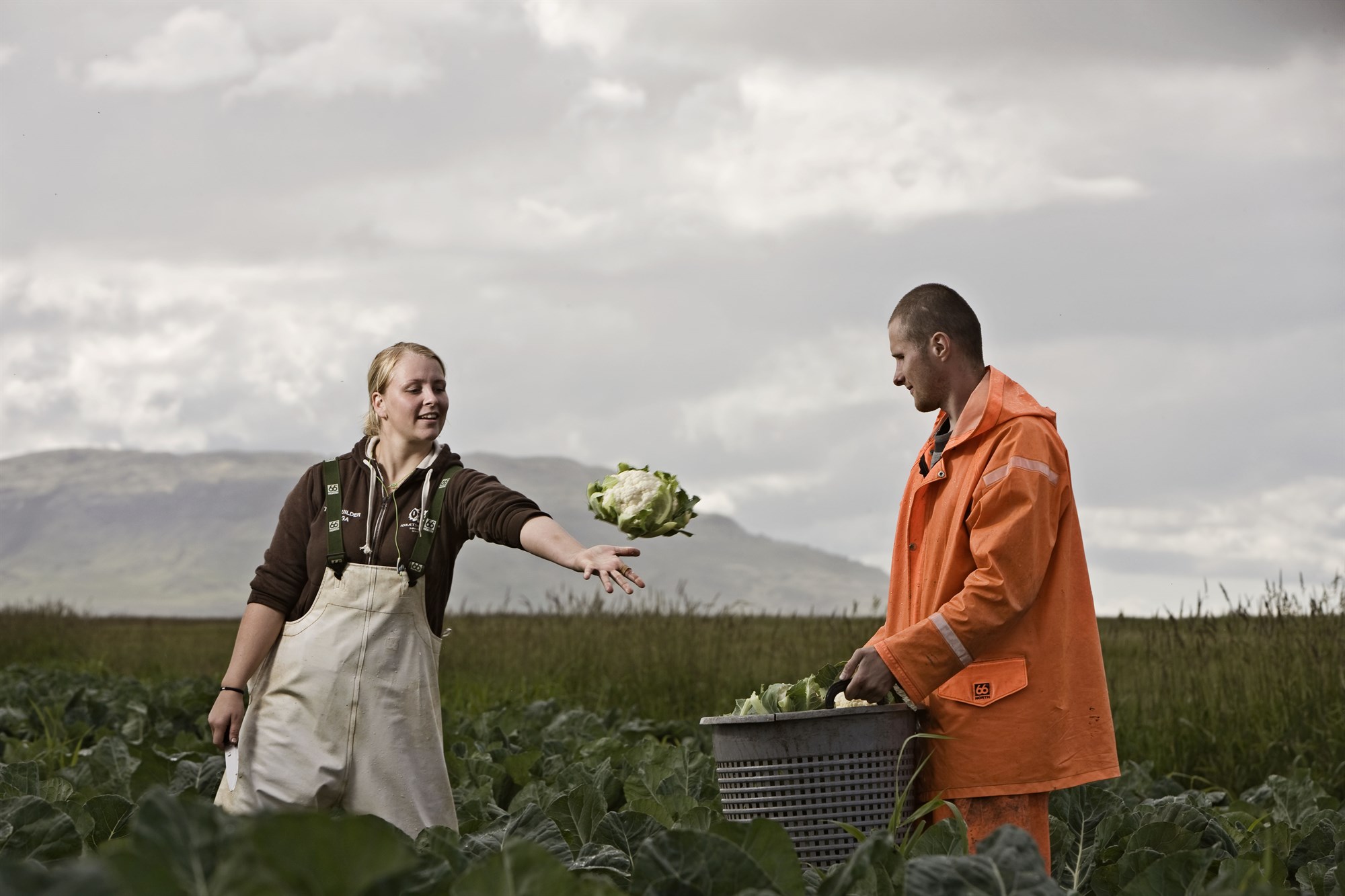 Laða ungt fólk til starfa í matvælaframleiðslu
