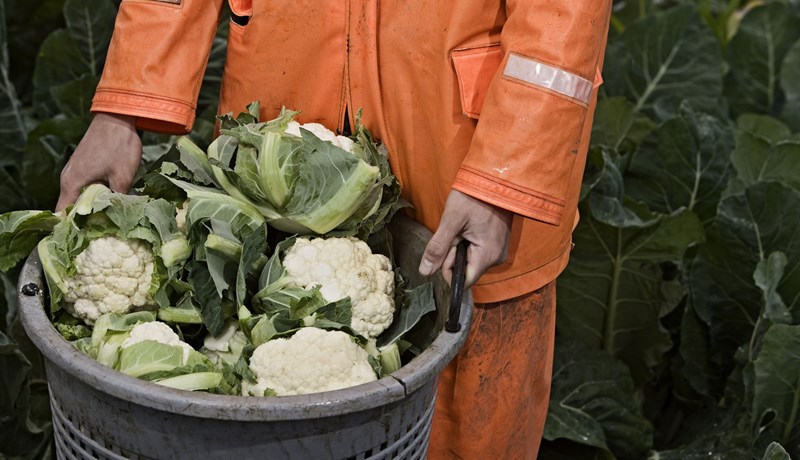 Fjölbreyttur og kraftmikill landbúnaður til framtíðar