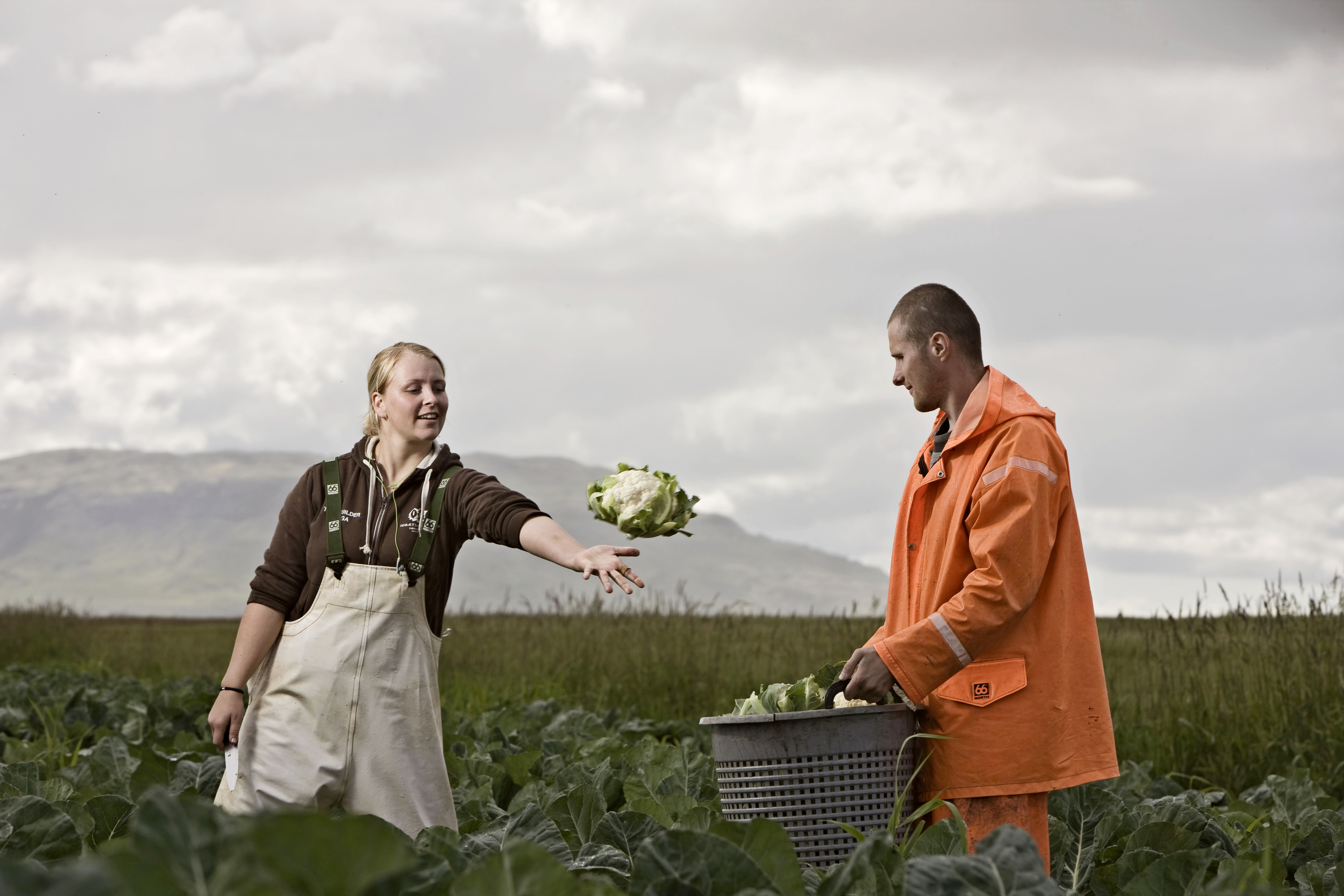 Léttum kolefnissporin og veljum íslenskt