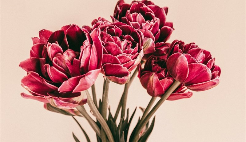 Hann á það skilið? Á hann það skilið?