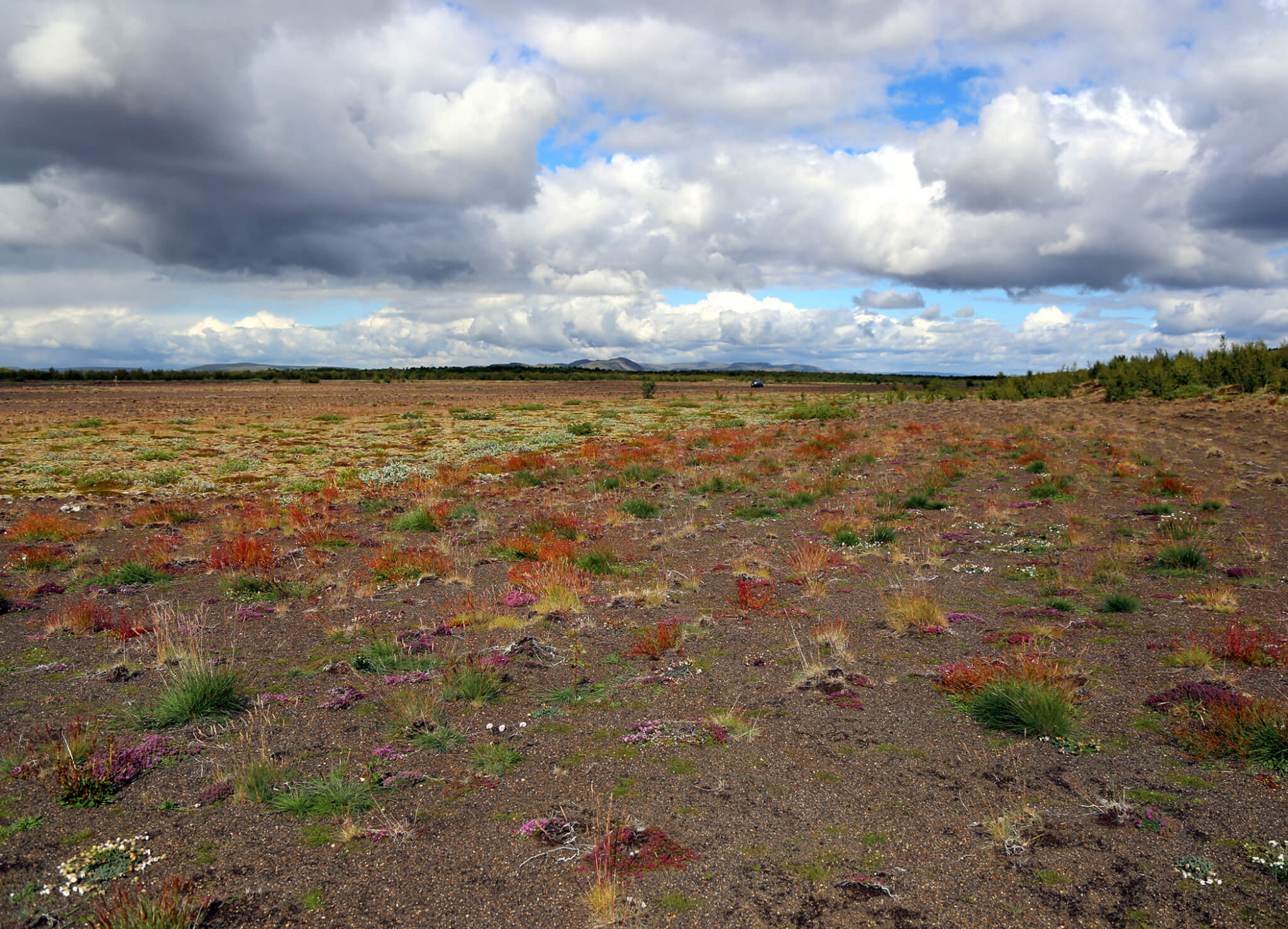 Seyra til uppgræðslu á Hrunamannaafrétti
