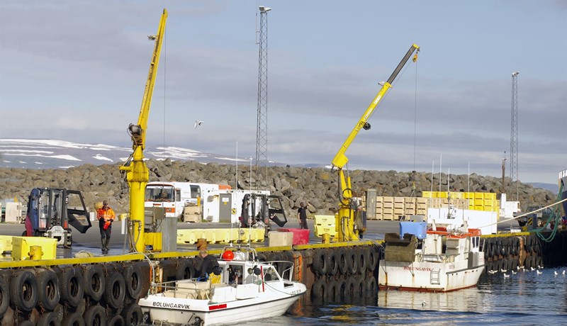 Leigukvóti fyrir milljarða