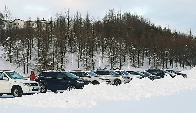 Útivist og lýðheilsa gríðarmikilvæg skógarafurð