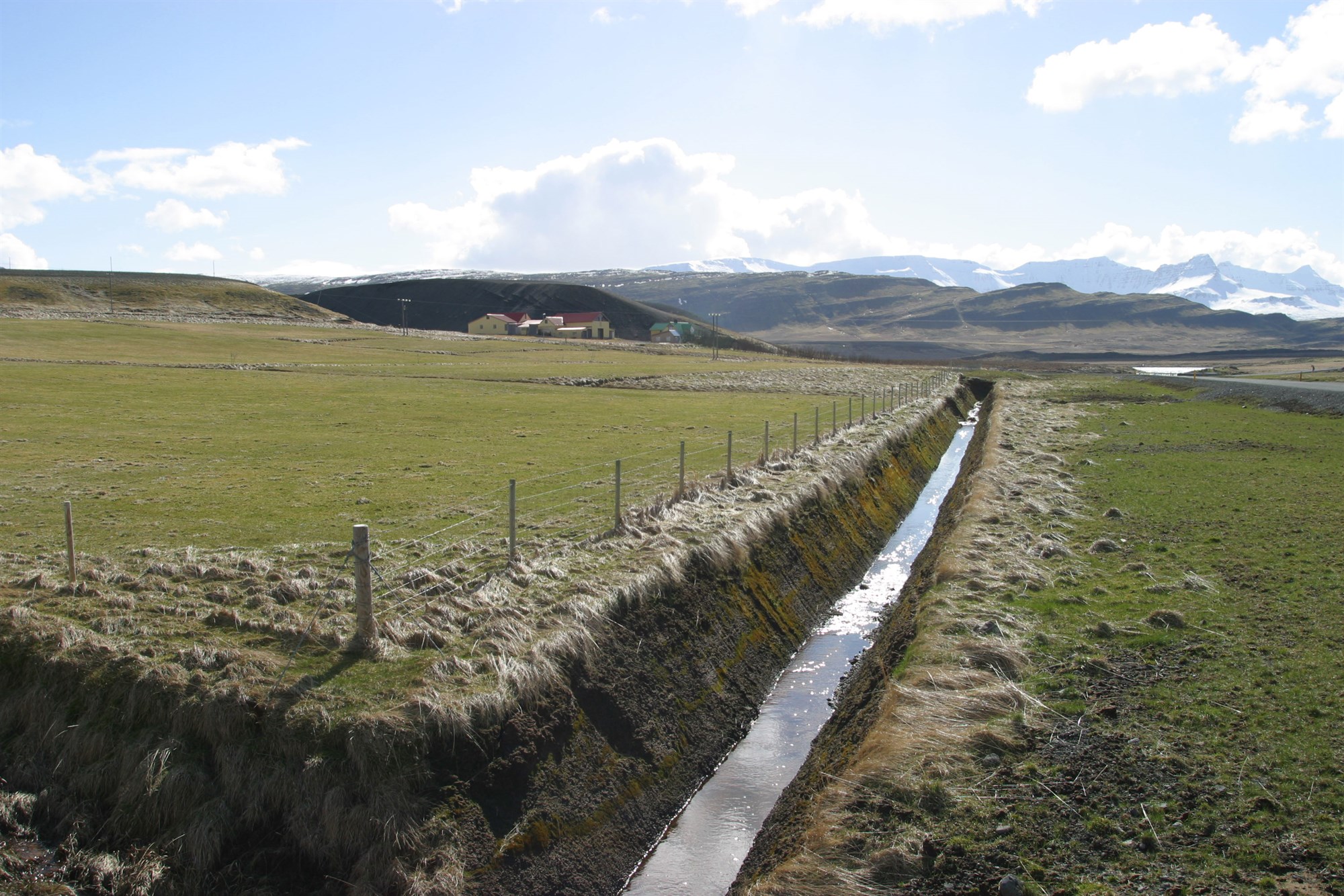 Þröstur kvakar enn ...