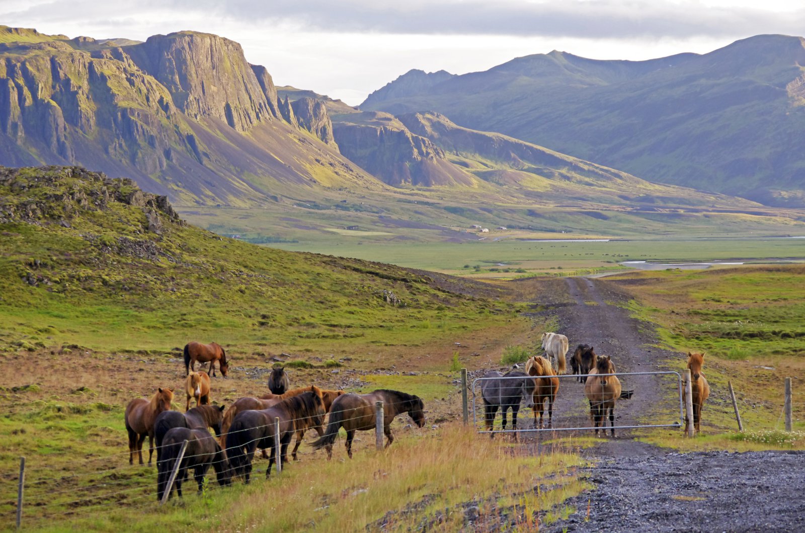 Launagreiðslur og tryggingar verða að vera í lagi