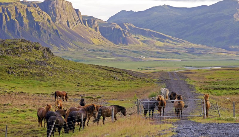 Launagreiðslur og tryggingar verða að vera í lagi