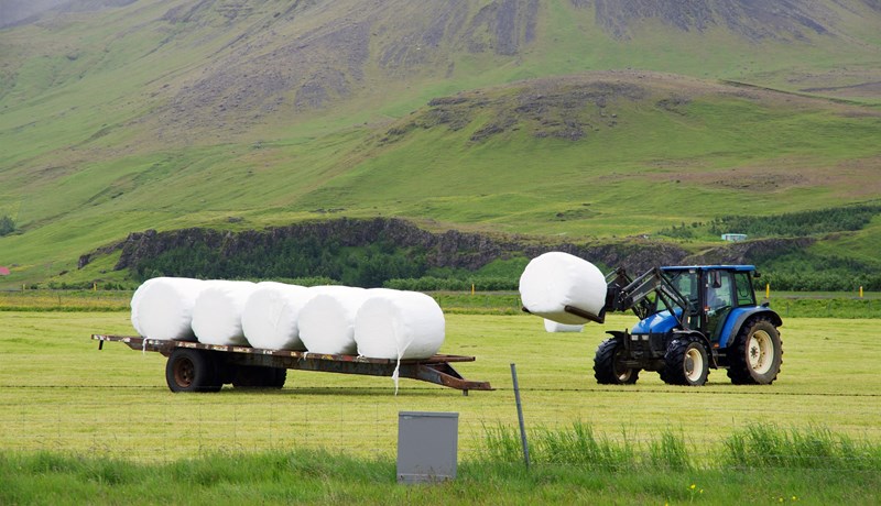 Félagsmenn BÍ skrái veltu í gegnum Bændatorgið