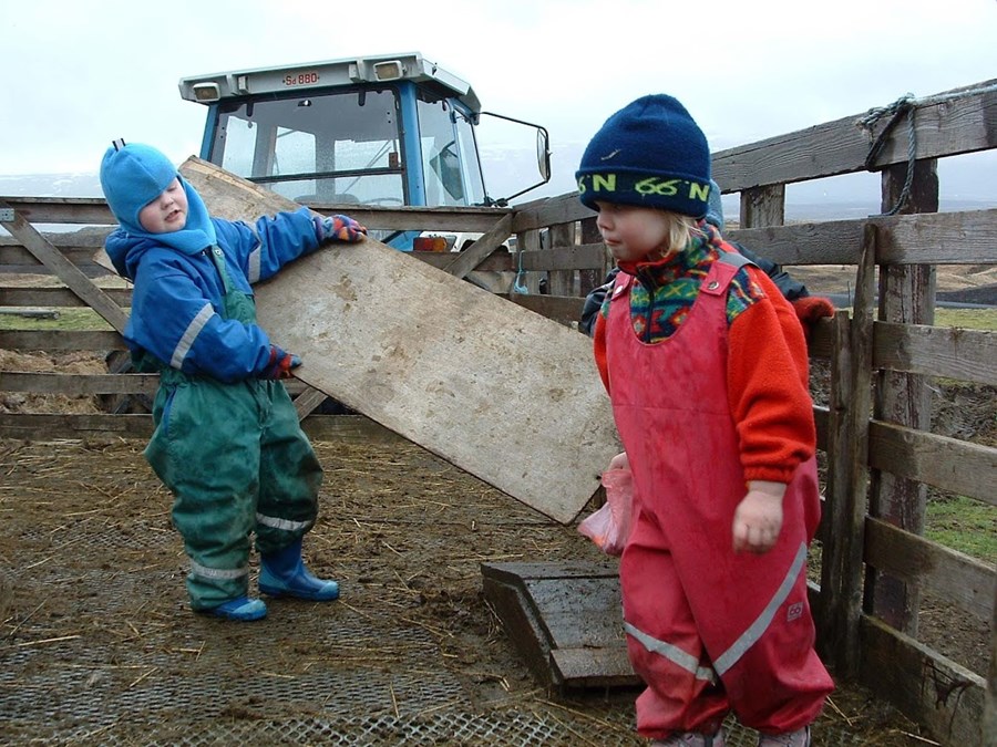 Börn þurfa ekki að vera há í loftinu til að gera nokkurt gagn. Sá siður að senda börn í sveit er, samkvæmt rannsóknum, enn við lýði, en mjög hefur þó dregið úr því.