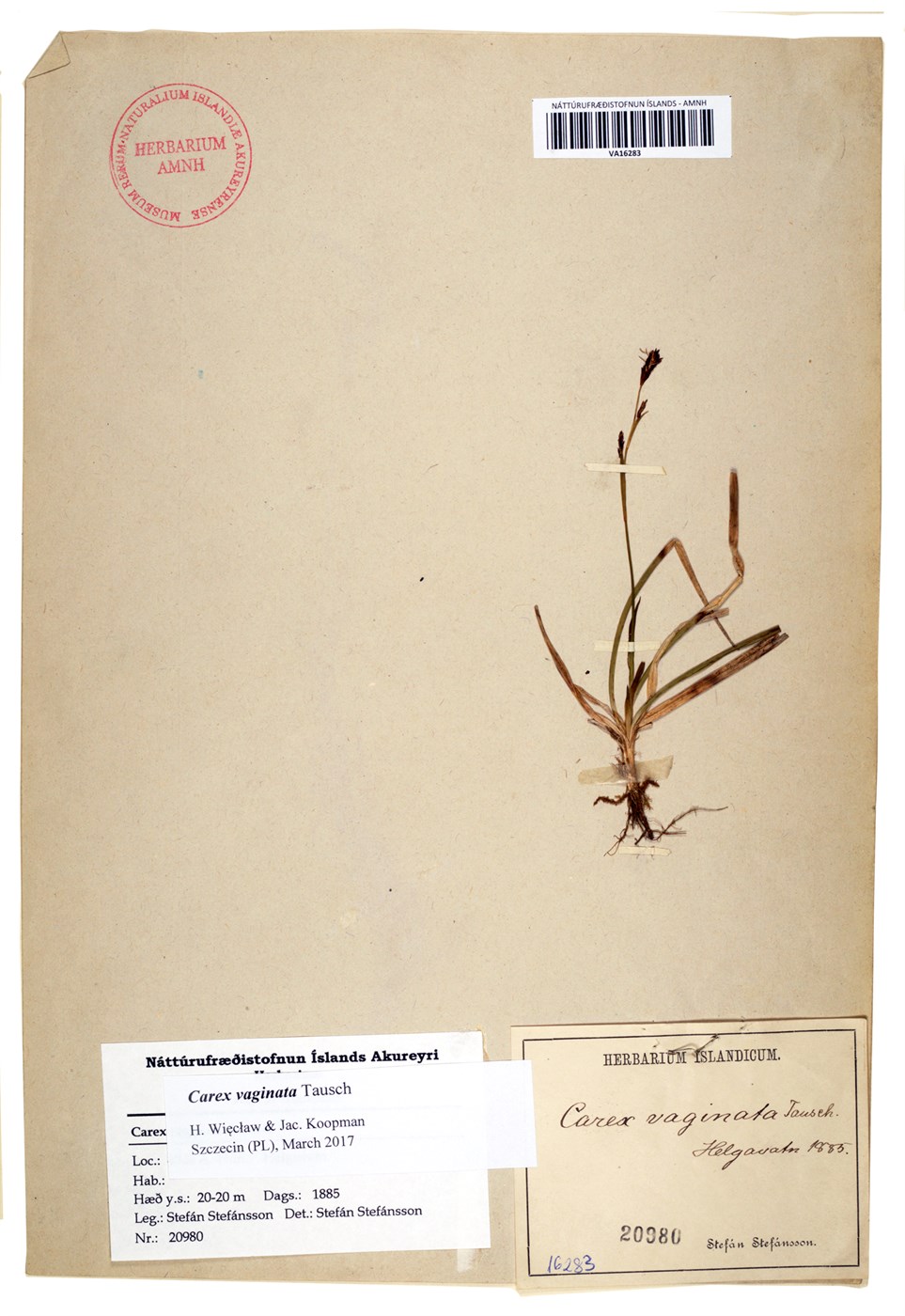 Vísindin á tímamótum hvað varðar plöntusöfn