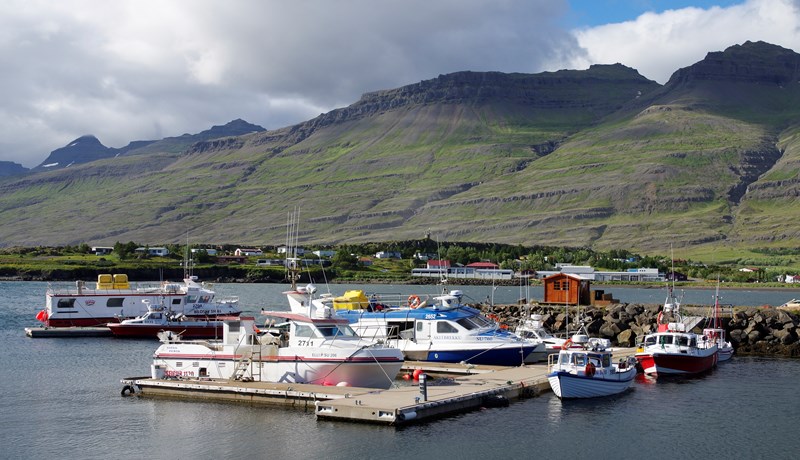 Hversu stórir (litlir) erum við?