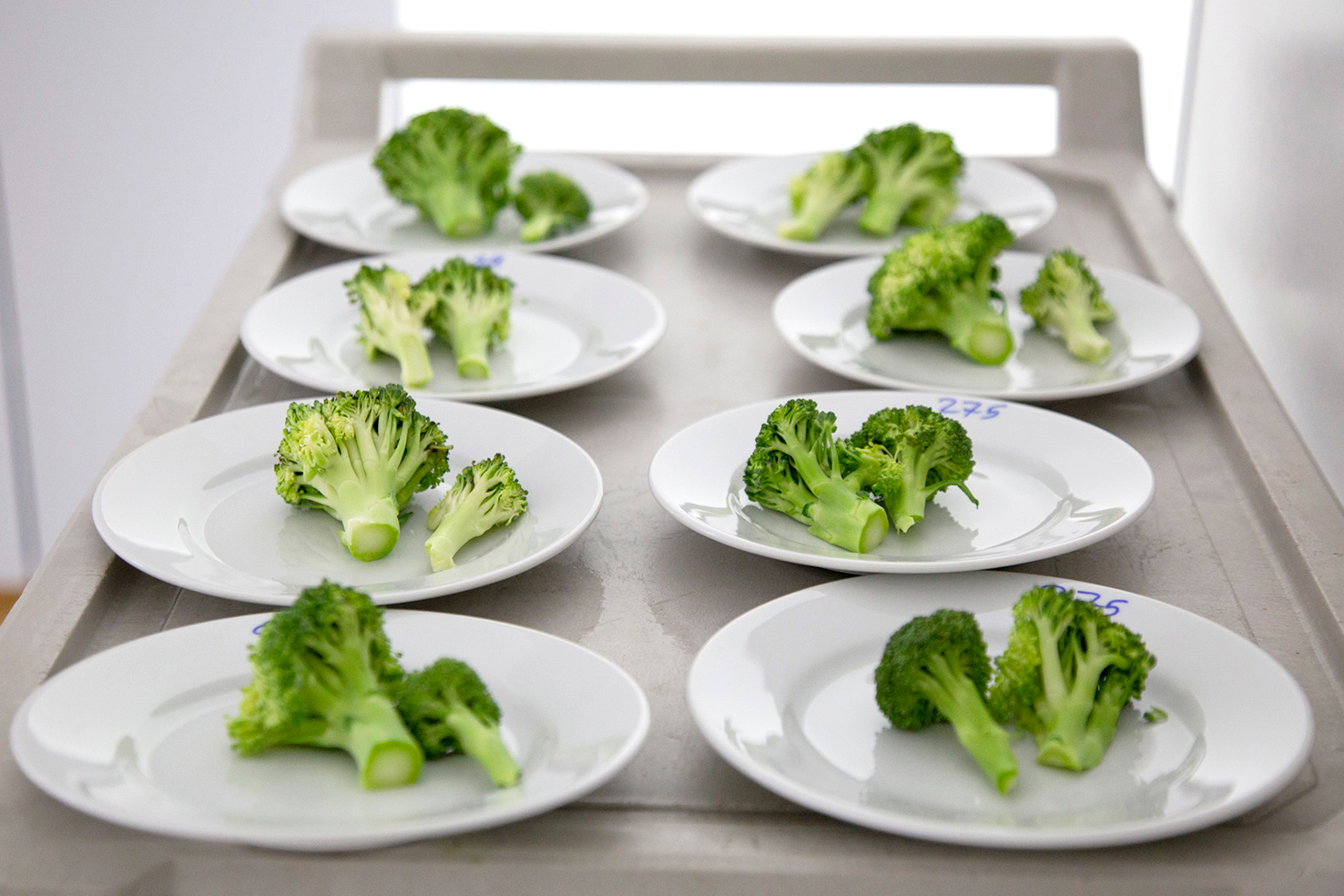 Uppfærsla á gagnagrunni um efnainnihald matvæla