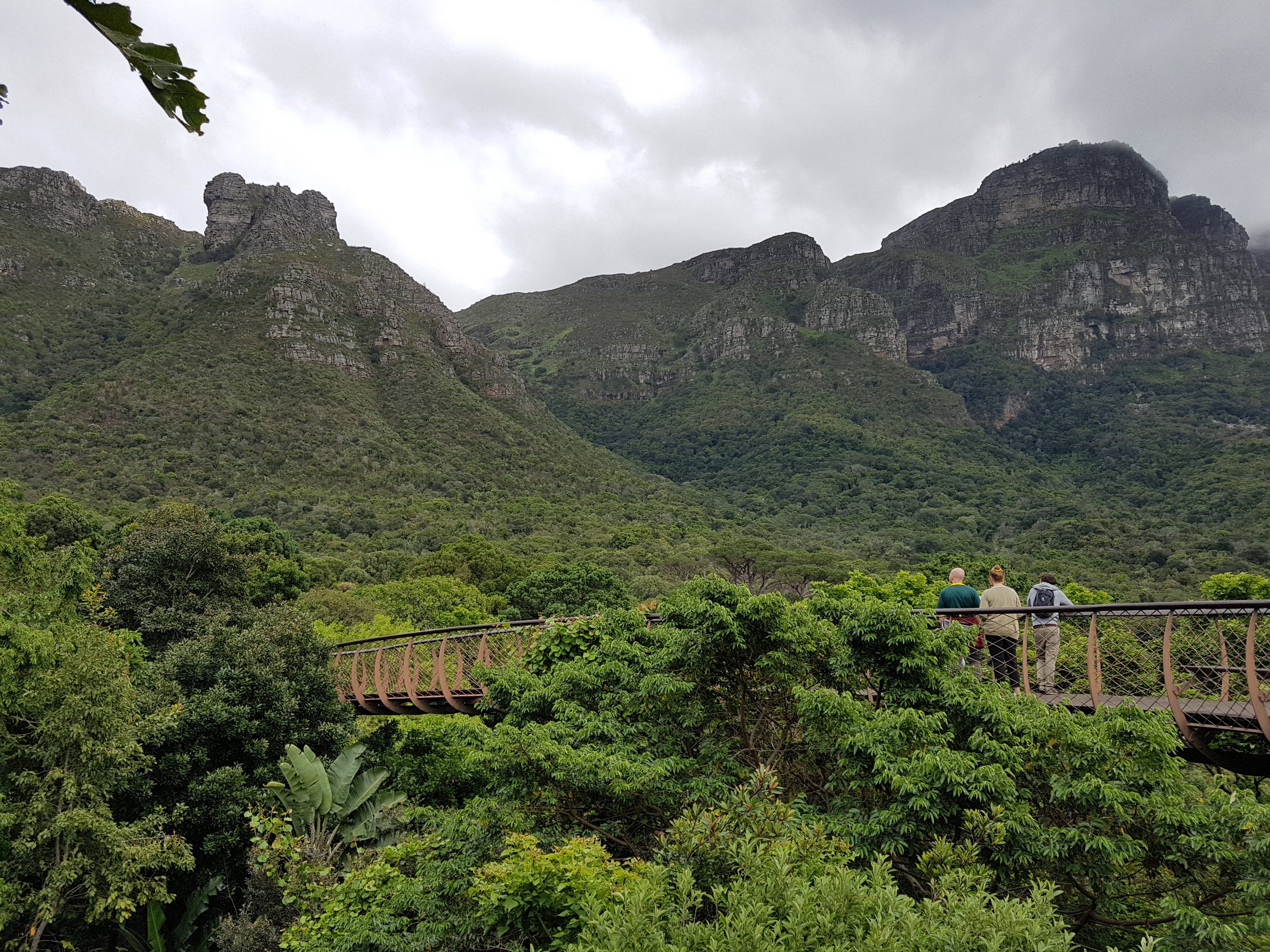 Undrið Kirstenbosch