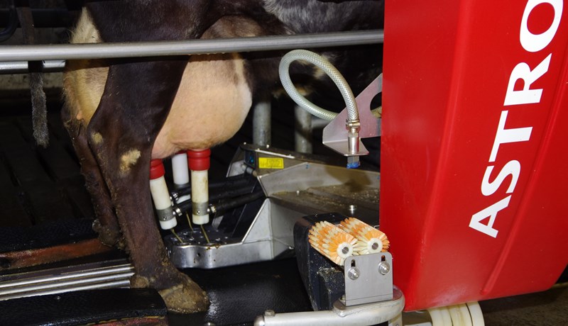 Mjólkurinnlegg dróst aðeins saman á landinu öllu á árinu 2019