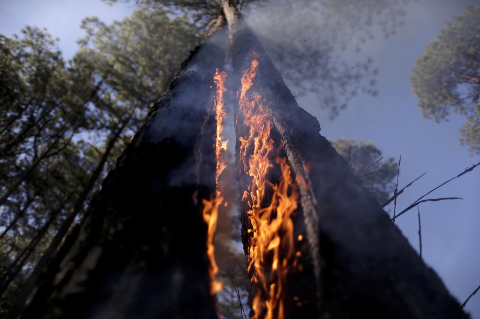 Skógareldar í Brasilíu