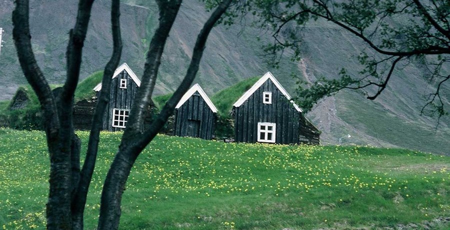 Lögbýlum með greiðslumark fækkar