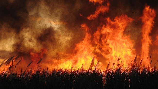 Brunavarnir í gróðri