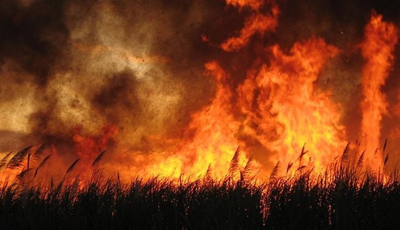 Brunavarnir í gróðri