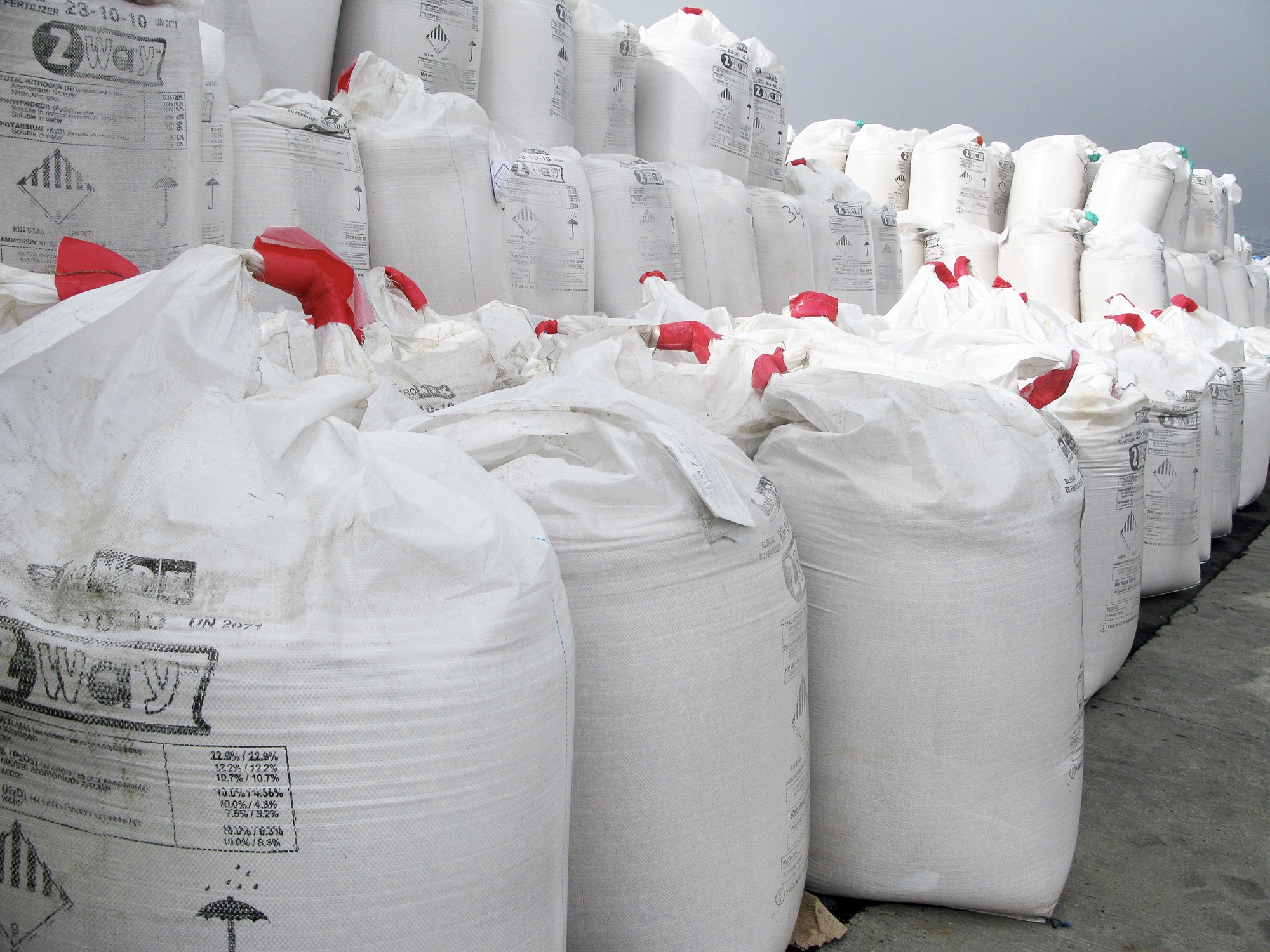 Fæðuöryggi er á dagskrá