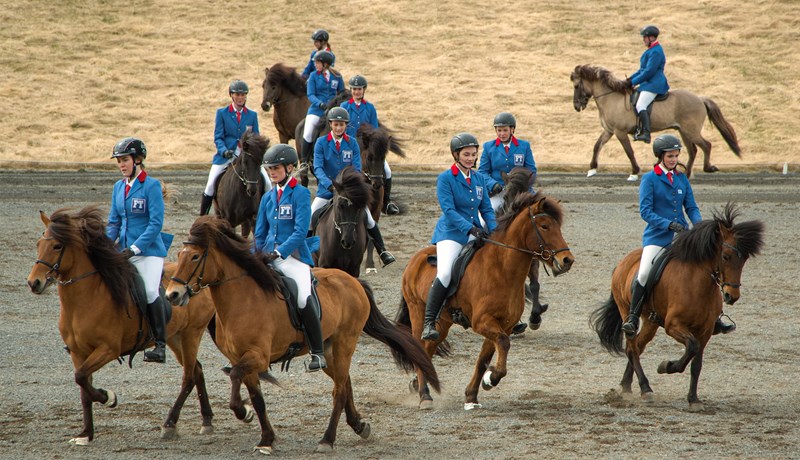 Brautskráning frá Hestafræðideild Háskólans á Hólum