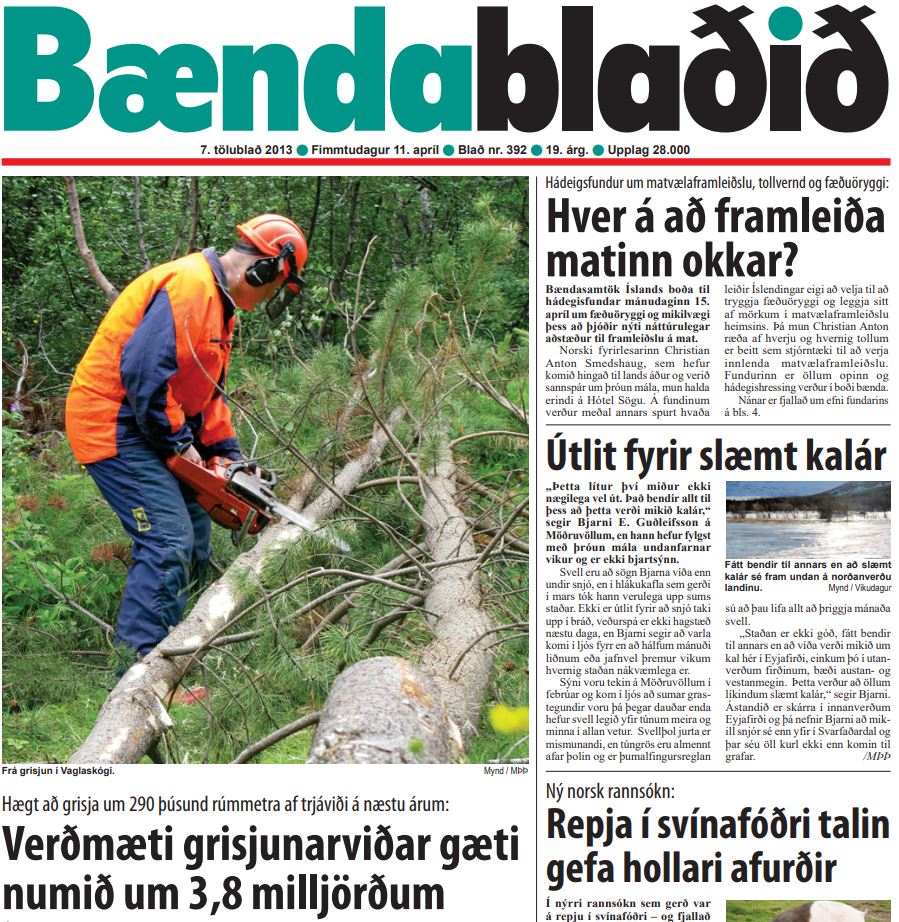 Verðmæti grisjunarviðar gæti numið um 3,8 milljörðum