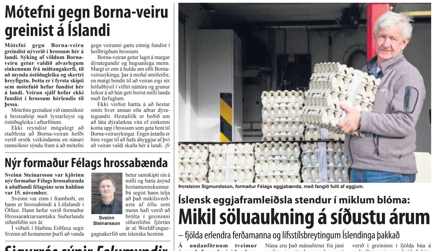 Mikil söluaukning á eggjum