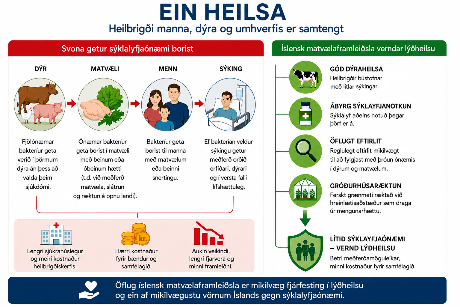 Öflug íslensk matvælaframleiðsla er hluti af vörnum Íslands gegn sýklalyfjaónæmi