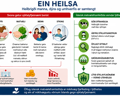 Öflug íslensk matvælaframleiðsla er hluti af vörnum Íslands gegn sýklalyfjaónæmi