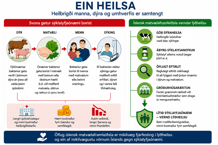 Mynd 1. Skýringarmynd fyrir Eina heilsu, gerð með gervigreind (ChatGPT)