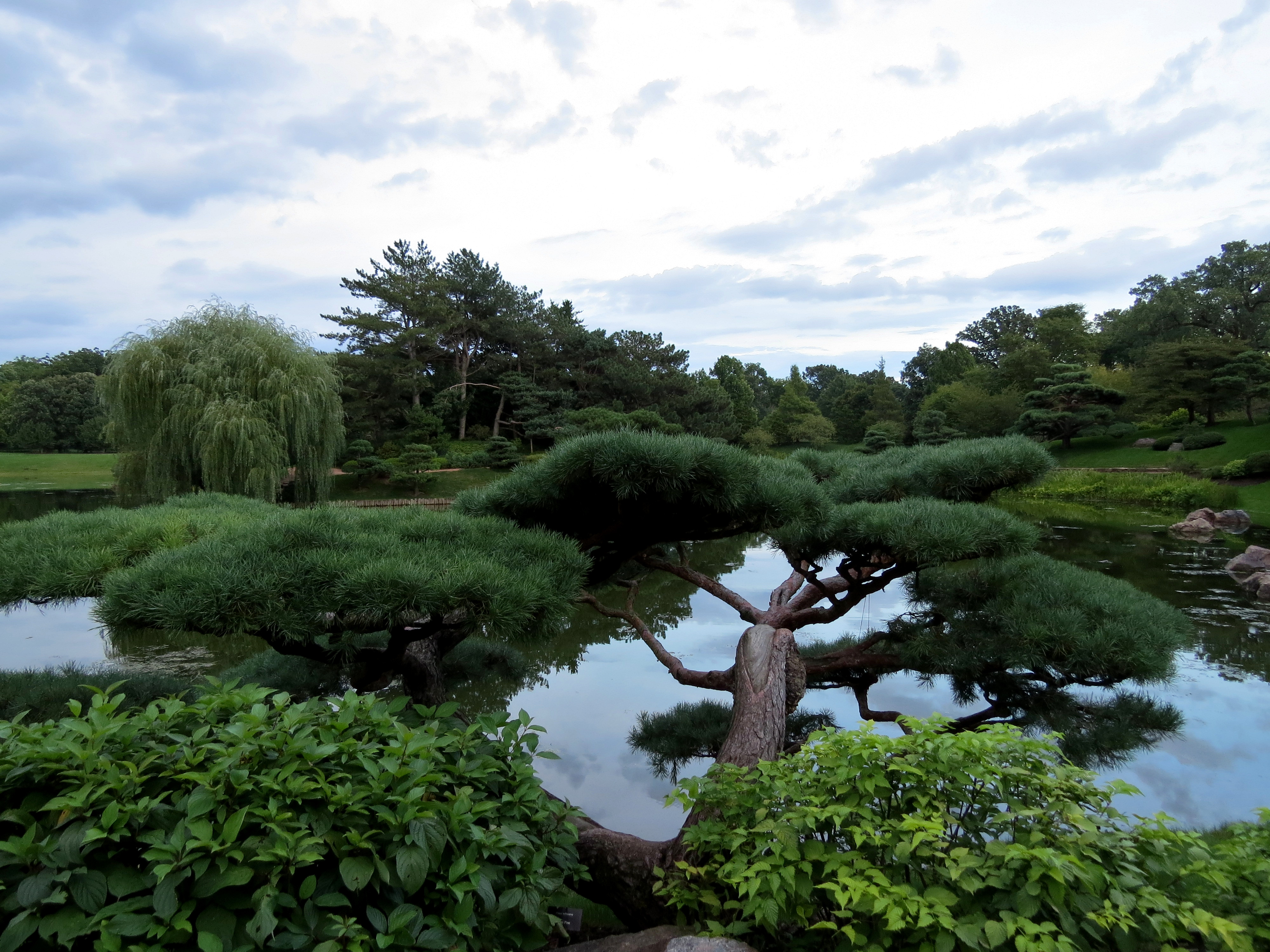 Grasagarður Al Capone?