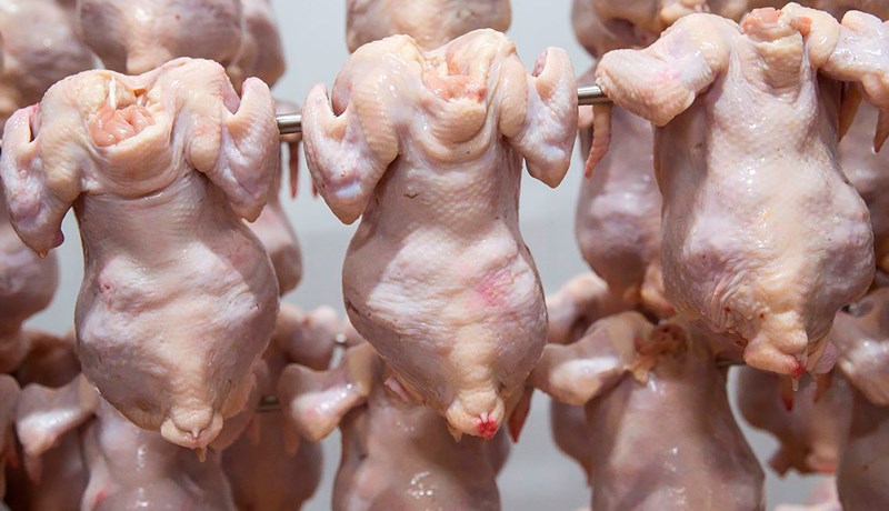 Breskir ráðherrar segjast ekki heimila innflutning á klórþvegnu kjúklingakjöti