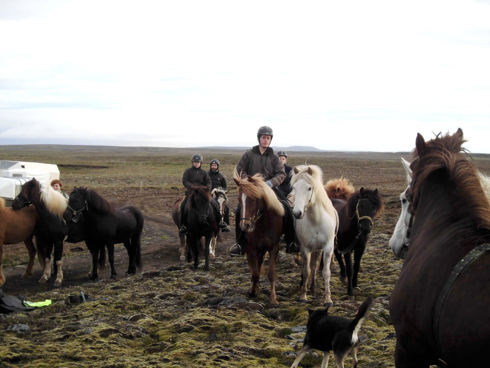 Átt þú góð föt fyrir smalamennsku og útiveru?