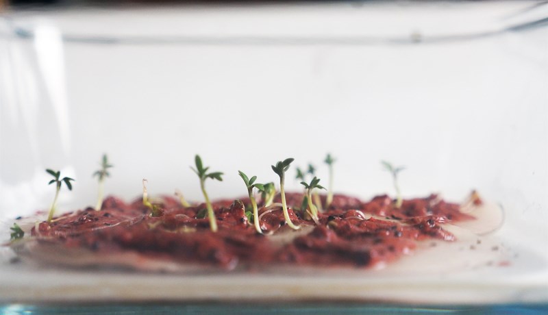 Fiski-nasl úr afskurði og blómapappír úr beinum