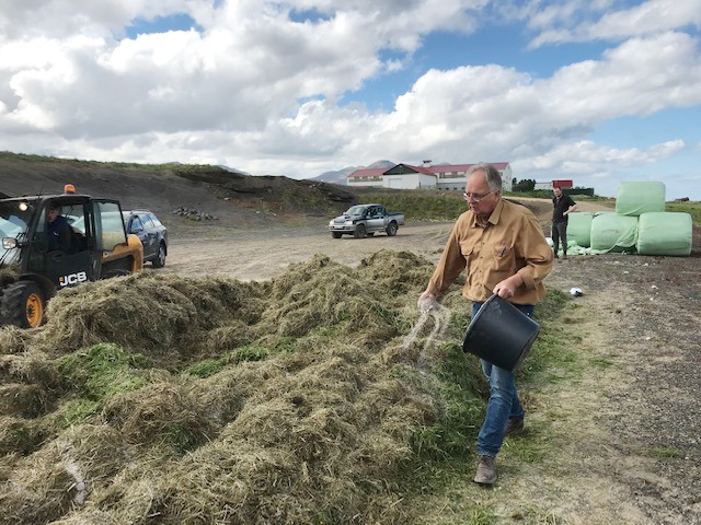 Gerjun til niðurbrots á lífrænu efni virðist gagnleg og skilvirk leið