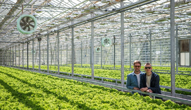 Framtíðin er græn