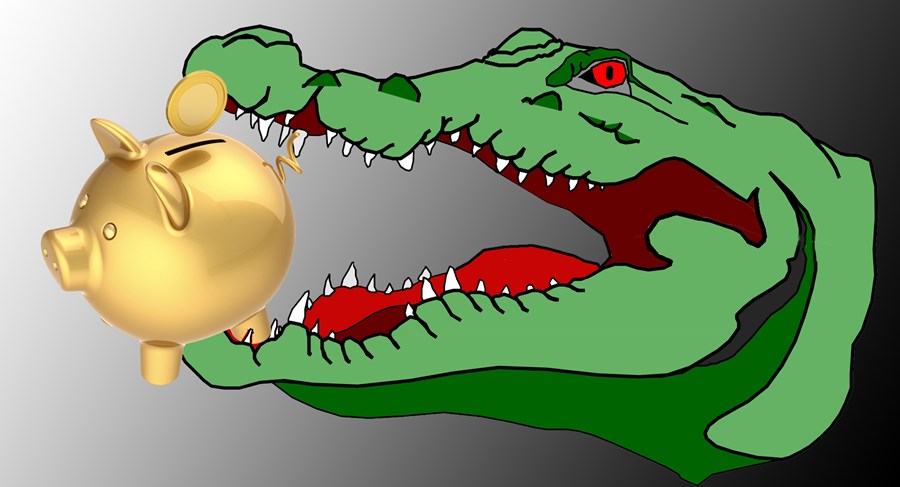 „Grái herinn“ svokallaði hefur gagnrýnt mjög ásælni ríkisins í lífeyrissjóðina sem var upphaflega ætlað að tryggja fólki, sem lokið hafði ævistarfi sínu, áhyggjulaust ævikvöld. Greiðslur úr lífeyrissjóðum séu nú óspart notaðar til að skerða greiðslur frá 