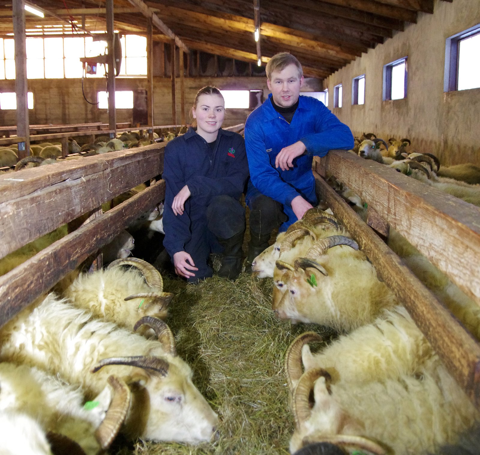 Verð – gæði – framboð – öryggi