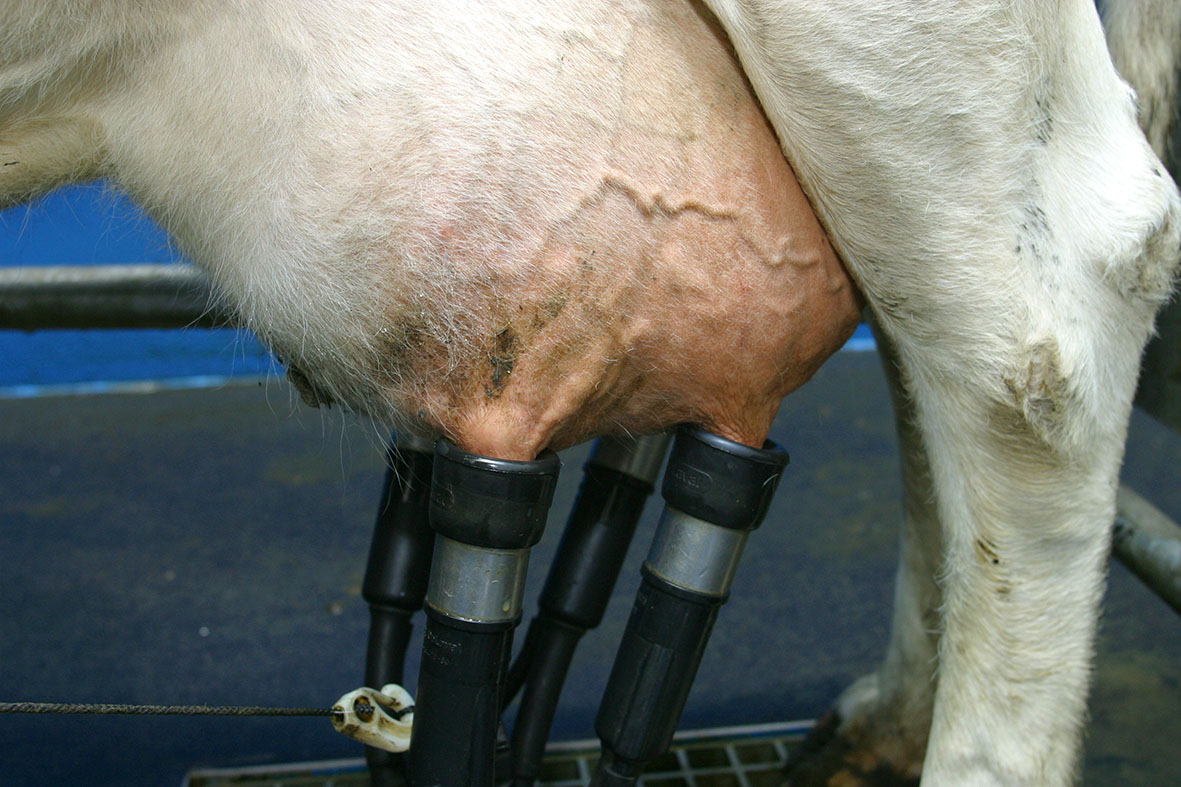 Tekur aftur upp verðviðmið