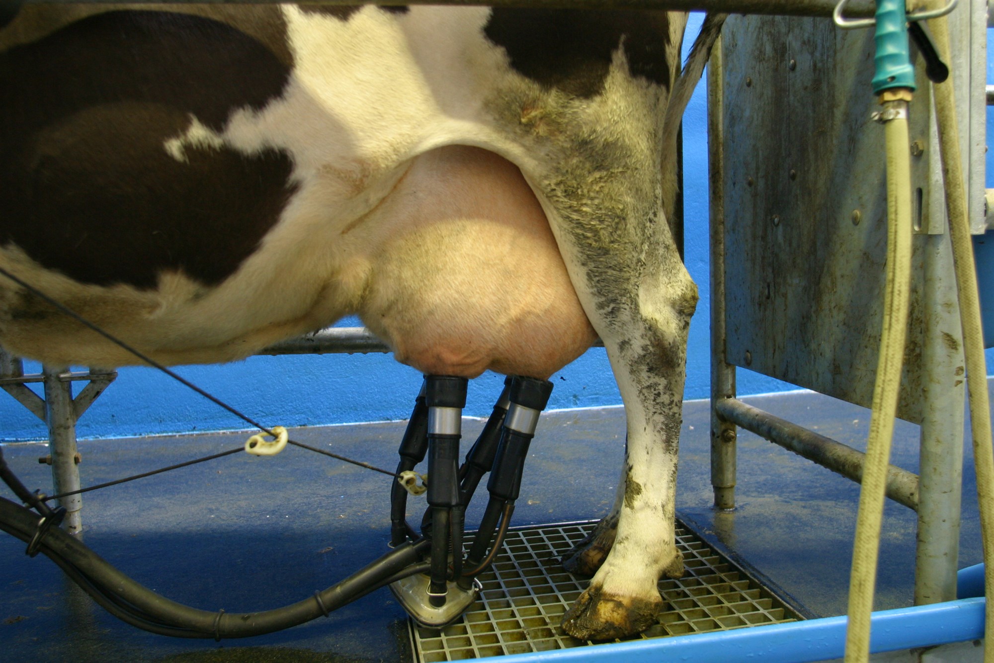 Ríkisstuðningur hefur lækkað um 51%